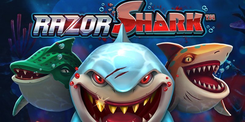 Razor Shark: Обзор слота –  Челюсти на Барабанах